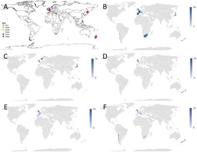 Cosmopolitan Distribution of Endozoicomonas-Like Organisms and Other Intracellular Microcolonies of Bacteria Causing Infection in Marine Mollusks